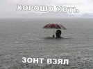 1000012475.webp