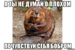 1000014265.webp