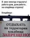 1751269239885.webp