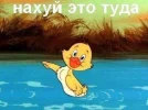 1000078356.webp