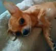 MEITU_20250630_211504807.webp