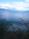IMG_20250629_181102.webp
