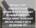 1000013277.webp