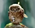 images (2).webp