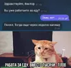 rabota-za-edu_28528.webp
