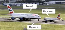 Без названия.webp