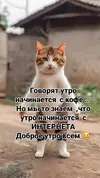 b85c5627a03bc66ce6526e9d6adb7f64.webp
