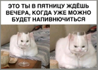 IMG_1305.webp