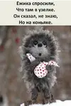 5328f3a267110cfacfa248766dcf4f23.webp