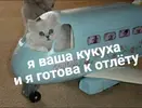 1e77449751ed4eaf7be97fef03fb4b7c.webp