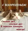 1000014466.webp