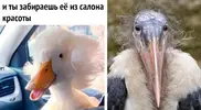1751808270572.webp