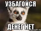 i.webp