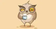 i-8.webp