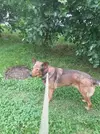 20250708_142530.webp