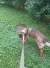 20250708_142505.webp