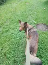20250708_142445.webp
