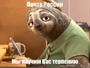 1751997238774.webp