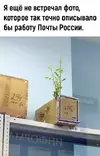 1751997270612.webp