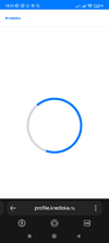 Screenshot_2025-07-14-18-23-32-170_com.yandex.searchapp.webp