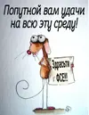 1156f0a42329edf4fe40572e9030e650.webp