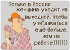 2sL7ZVE2_YM.webp