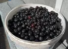 o5Ct-Mm3iLA.webp