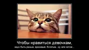 1000014782.webp