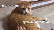 W_2UEEyfviI.webp