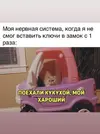 IMG_8294.webp