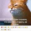 20250718_124121.webp