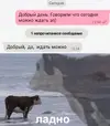 1752857595.webp