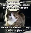 f143964fcc112266aad9683cc5af66c2.webp