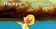 AvS8hMDj8R6hv3OEZYD5dQ.webp