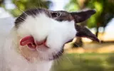 1000007943.webp