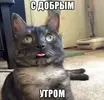 images (8).webp