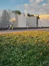 20250726_202651.webp