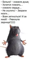 d5329e140a4ec6159610f9fb06ac3900.webp