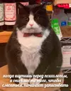 n0xWbxSydP-PUo-CJiS7Ps2YSNLwBZUIqGKMilajb_JxbqwCN233Qq3mw0LZeKLFCw4-EsZTLqXoutSL2FhHqVbP.webp