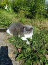 IMG_20250728_111846.webp