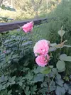 IMG_20250728_103022.webp