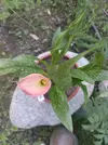 IMG_20250729_133057.webp