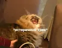 a3ec2b595753623353e3763e0c404795.webp