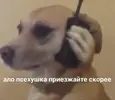 96e4ebb584a3e66bffca329dfb2f7dbf.webp