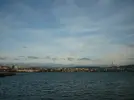 y_9adbf527.webp