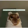6fa71066a5059b0bcbdef02ac67f5f2e.webp
