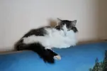 5iRRMuPHgH8.webp