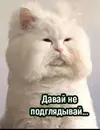 Screenshot_20250801_123958_VK.webp