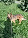 20250801_161043.webp
