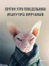 ponedelnik_33161.webp